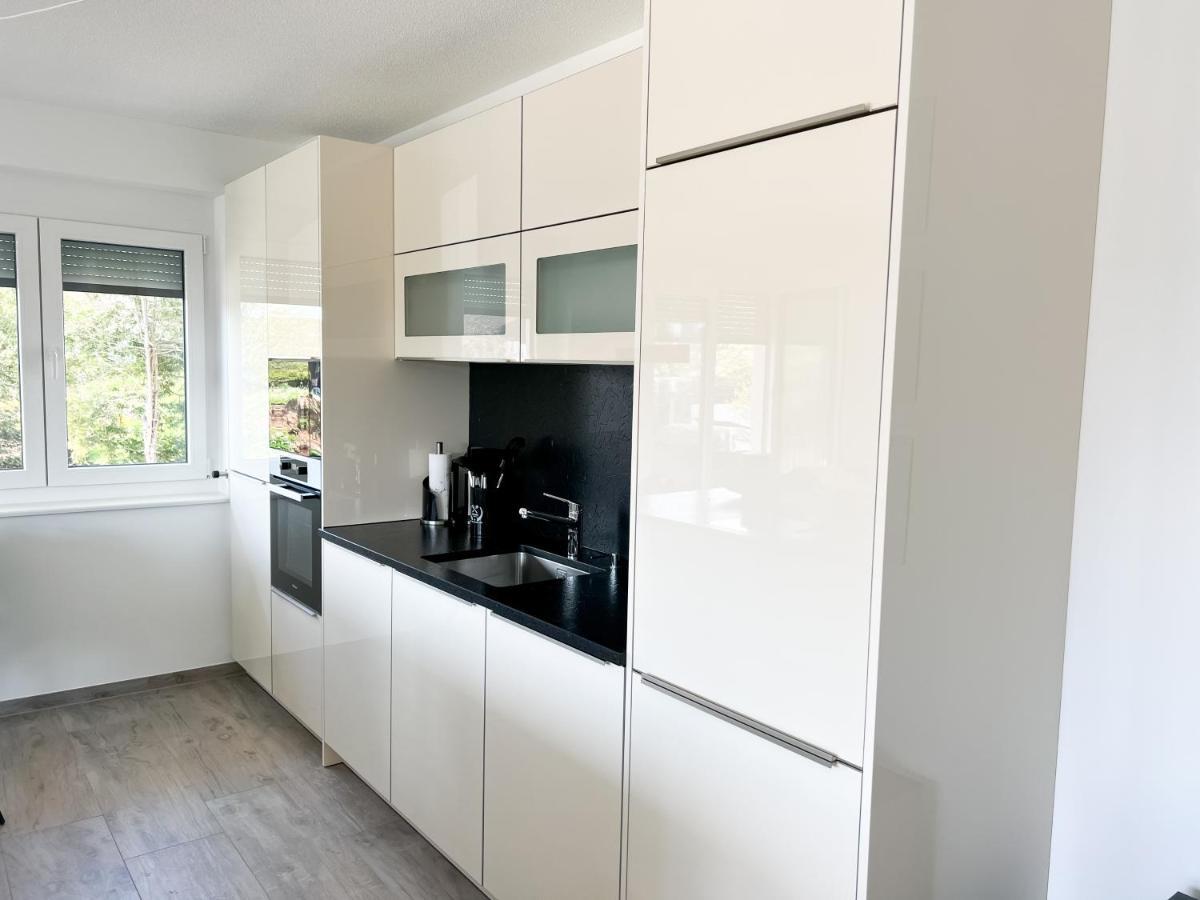 Alpenblick Apartment Höchenschwand